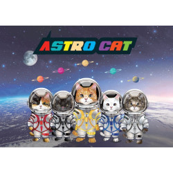 *新品上架* Astro Cat 貓貓肉絲湯罐(全年齡)